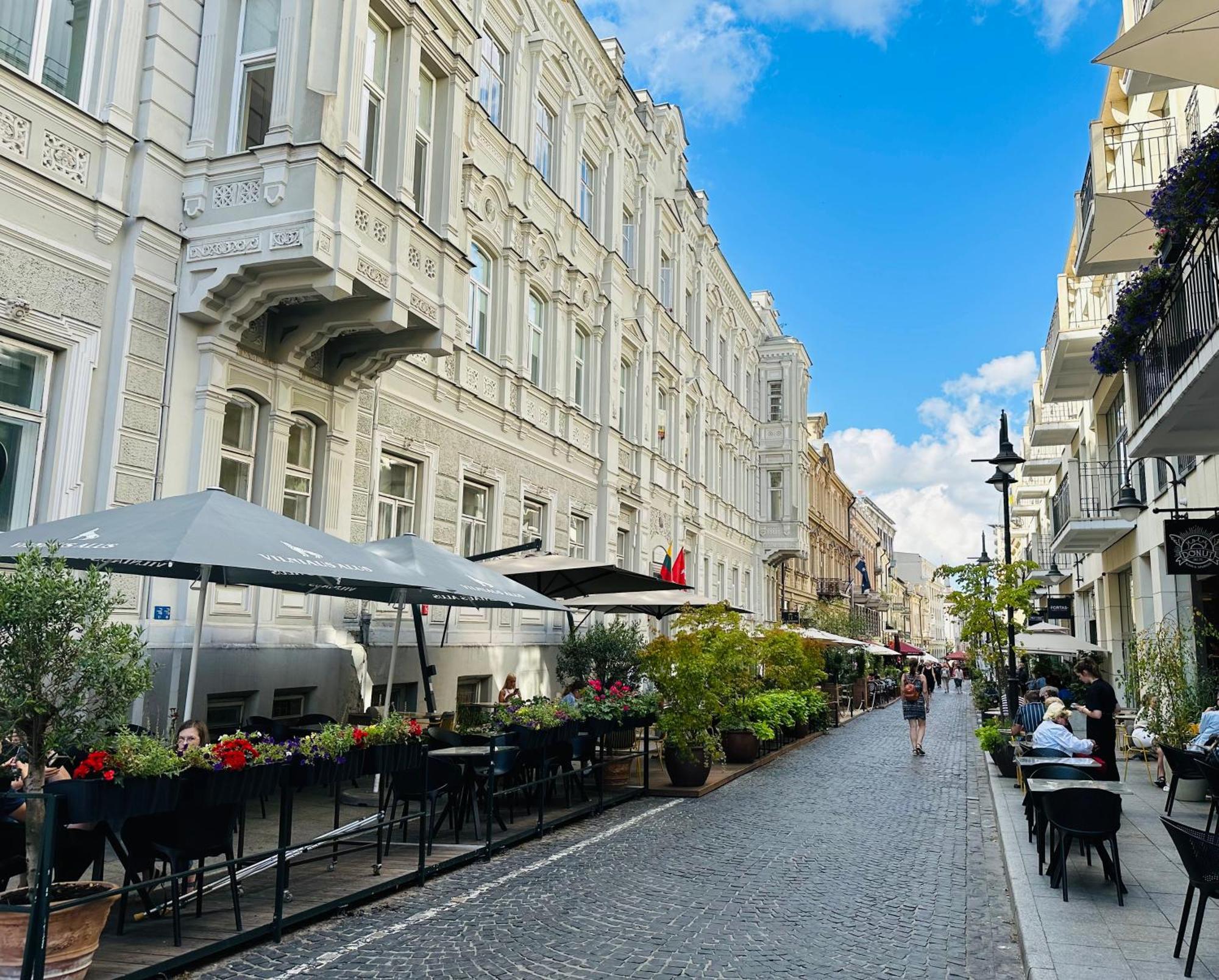 Vilnius Street Apartment Экстерьер фото